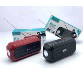 WSTER RADIO WS-5387