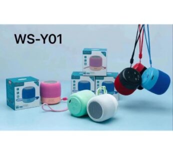 WSTER RADIO WS-Y01